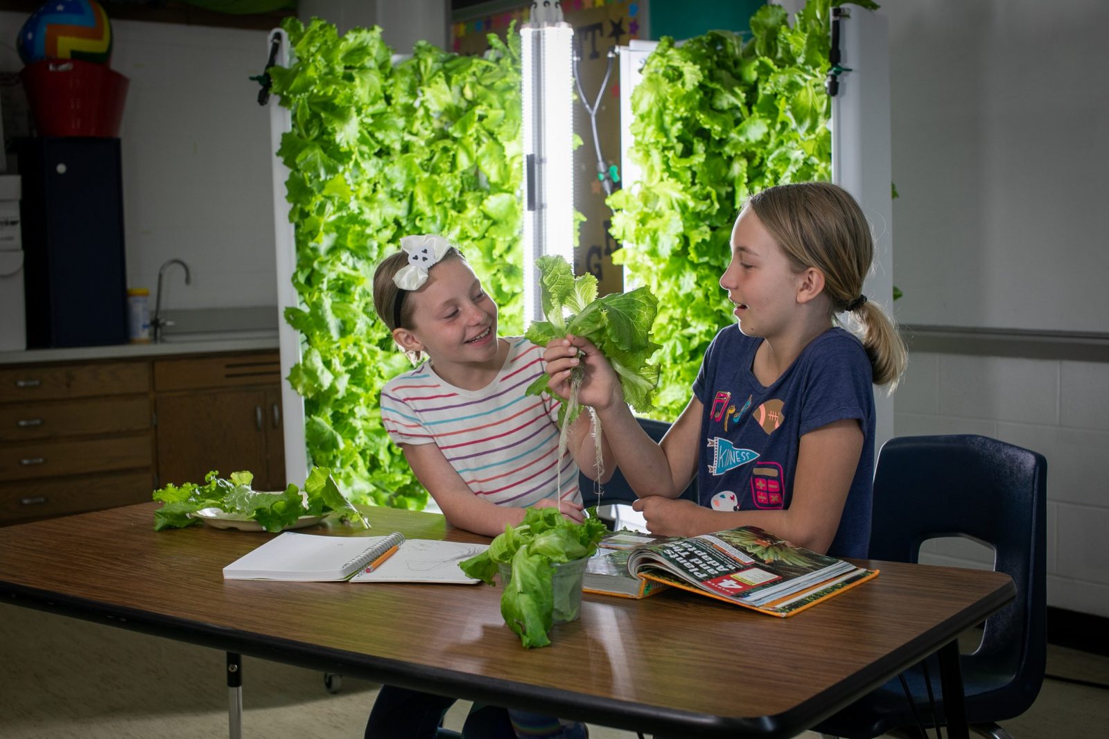 students learning about growing food